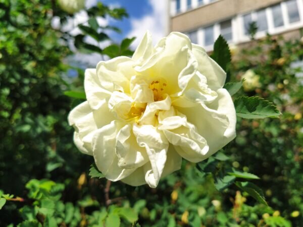    Фото: Екатерина Иванова