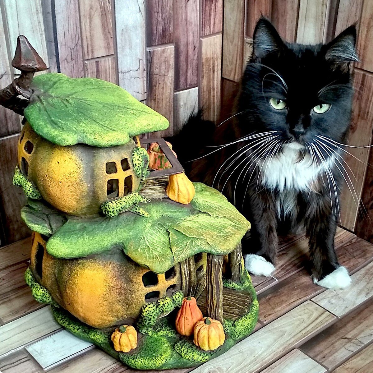 Домик для феи и кот Пиня