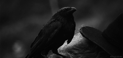 изображение взято в свободном доступе в сети интернет 