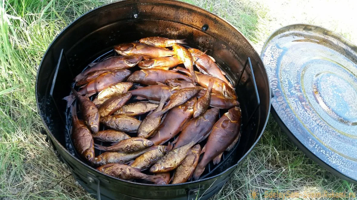 Копченая рыба в самодельной коптильне. Источник фото sdelaysam-svoimirukami.ru