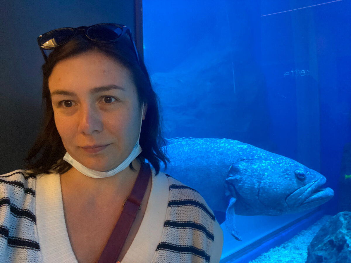 Посещение Аквариума, Дубаи.