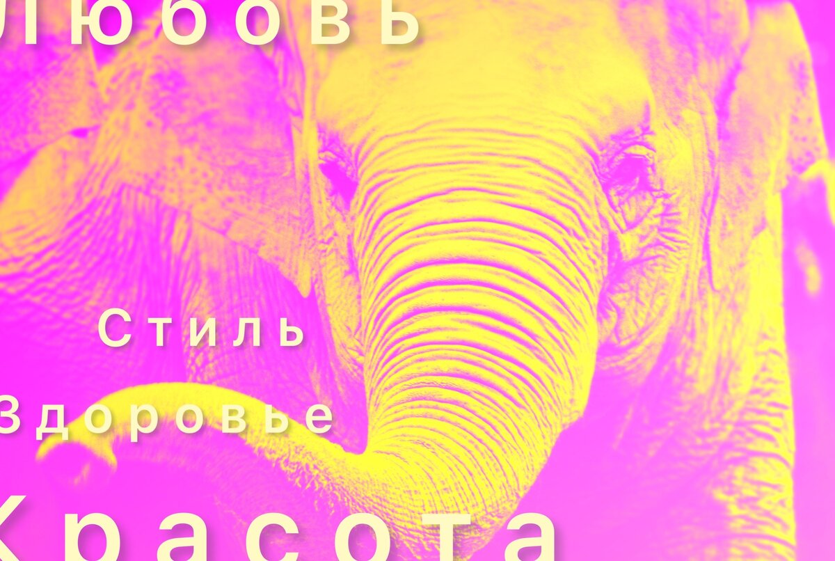 Images by jupiterimages on FreeImages