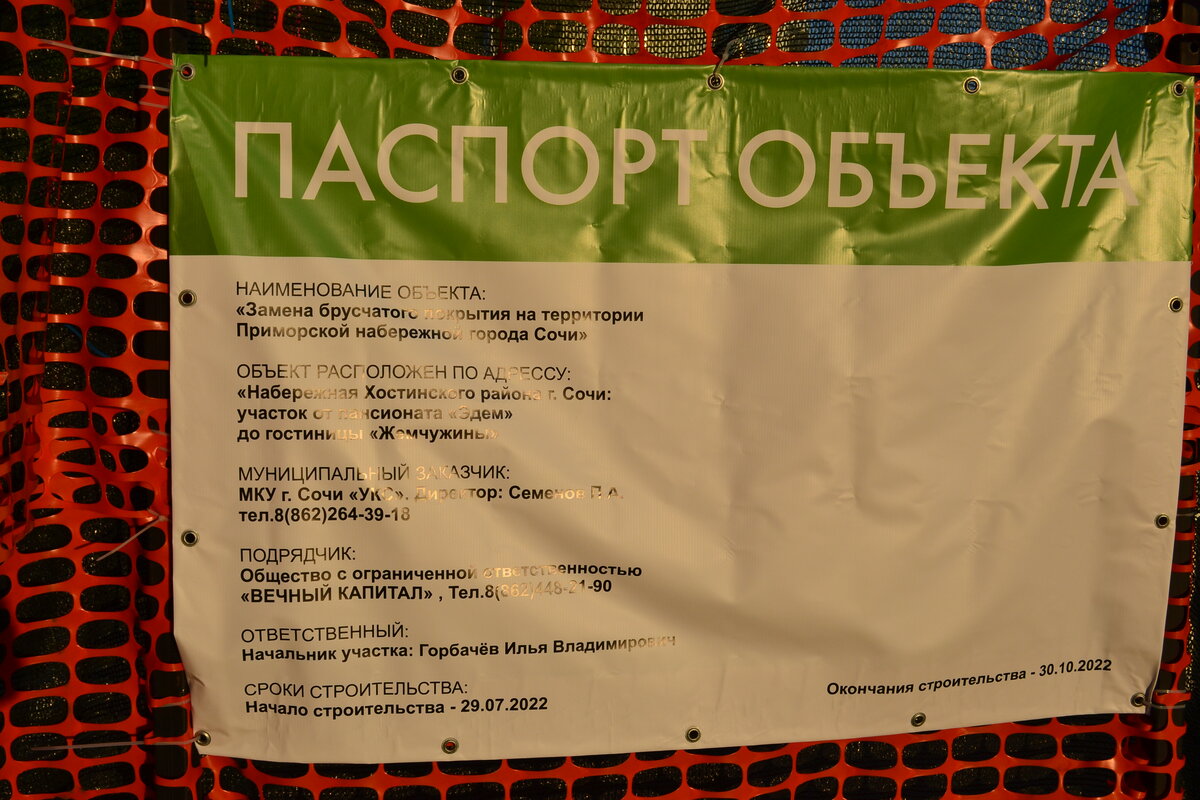 Что творится в Сочи в начале сентября: тёплое цветущее море, новый поток  отдыхающих и продолжение лета | Любимый Сочи со всех сторон | Дзен