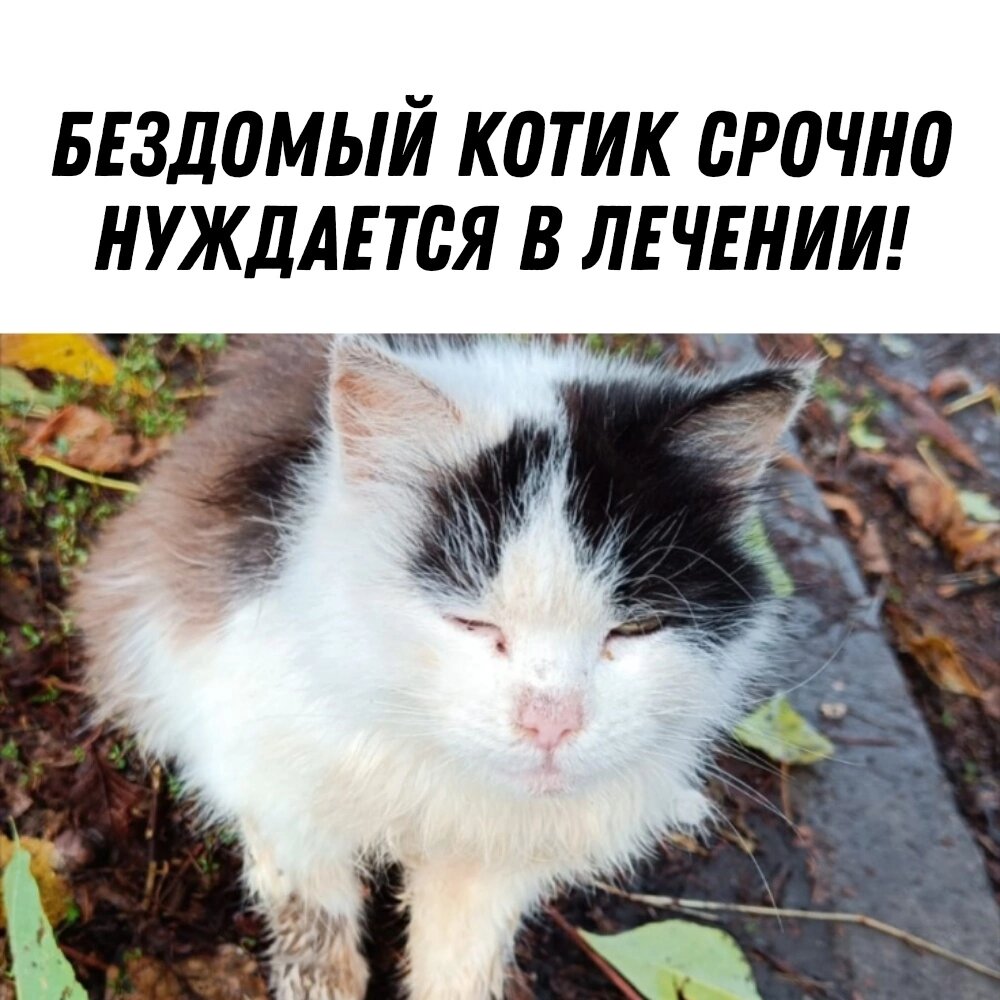 Фото со страницы Артёма.