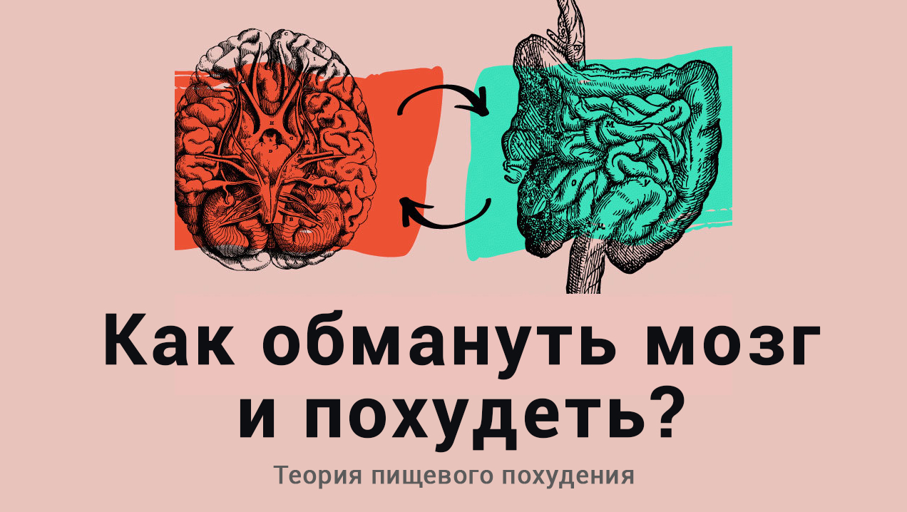 Как считать калории, чтобы похудеть? ПП, диета, советы диетолога, похудение