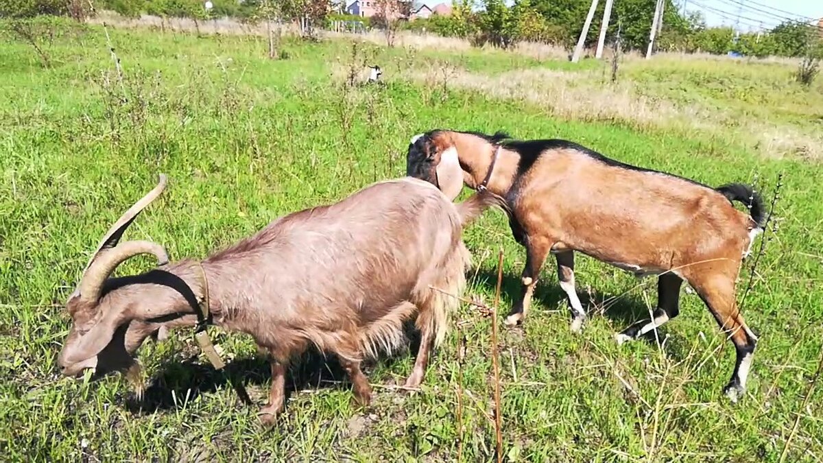 Фото с сайта Яндекс картинки. 