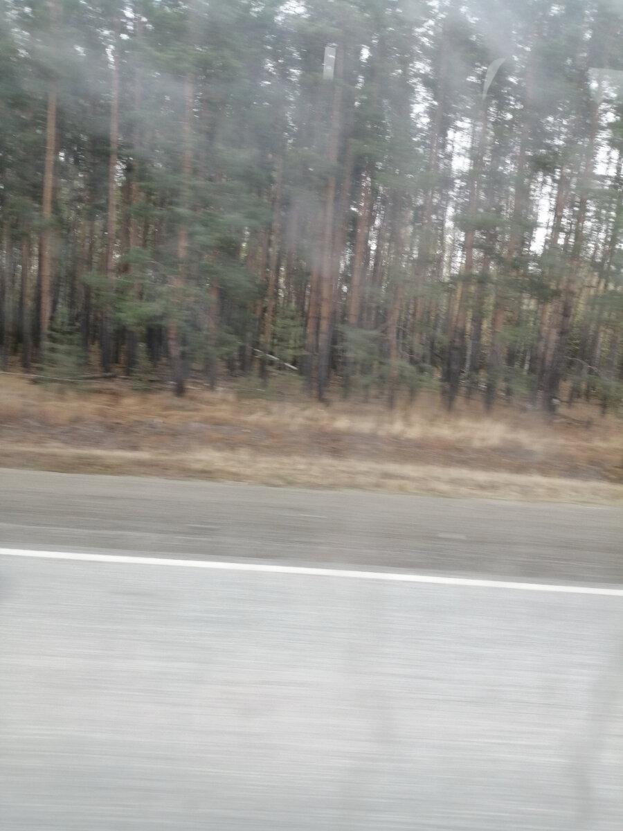 вид из окна автобуса