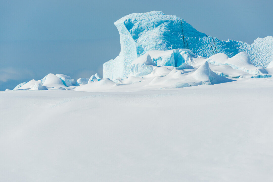    Фото: Shutterstock.com