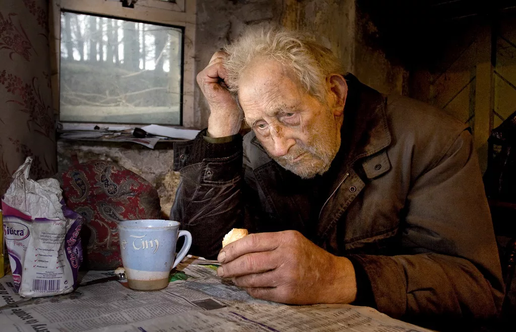 Фото из Яндекс. Картинки