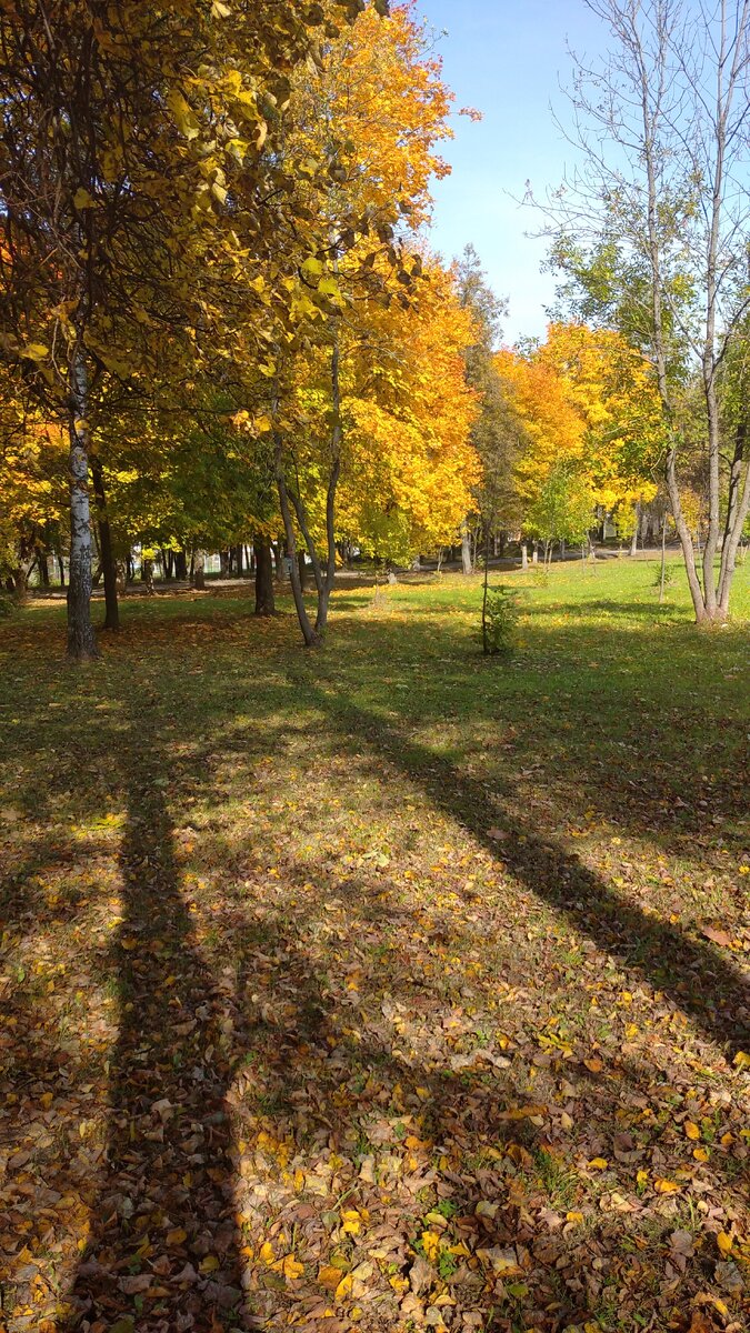 Личное  фото