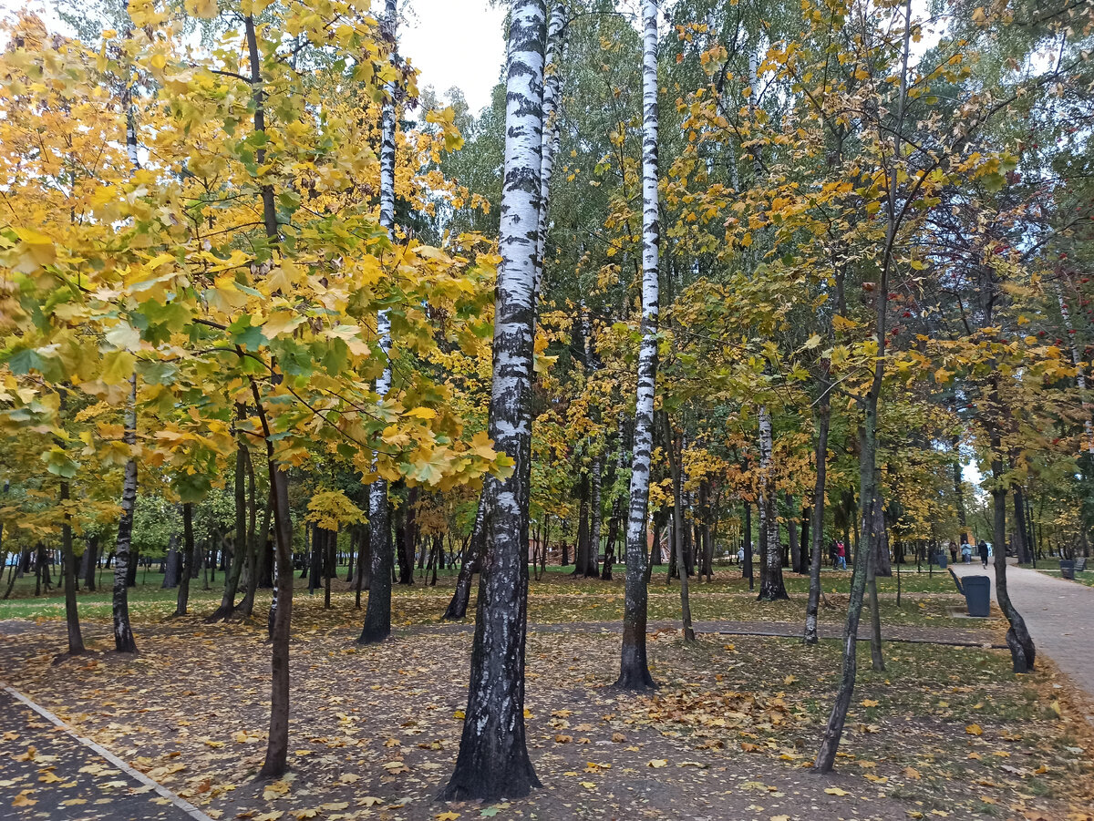 Фото из личного архива