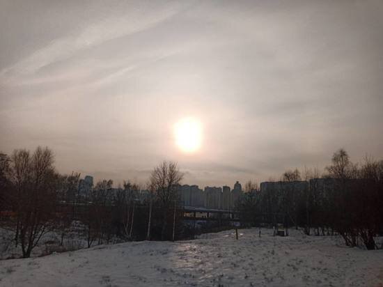     ФОто: МК в Туле