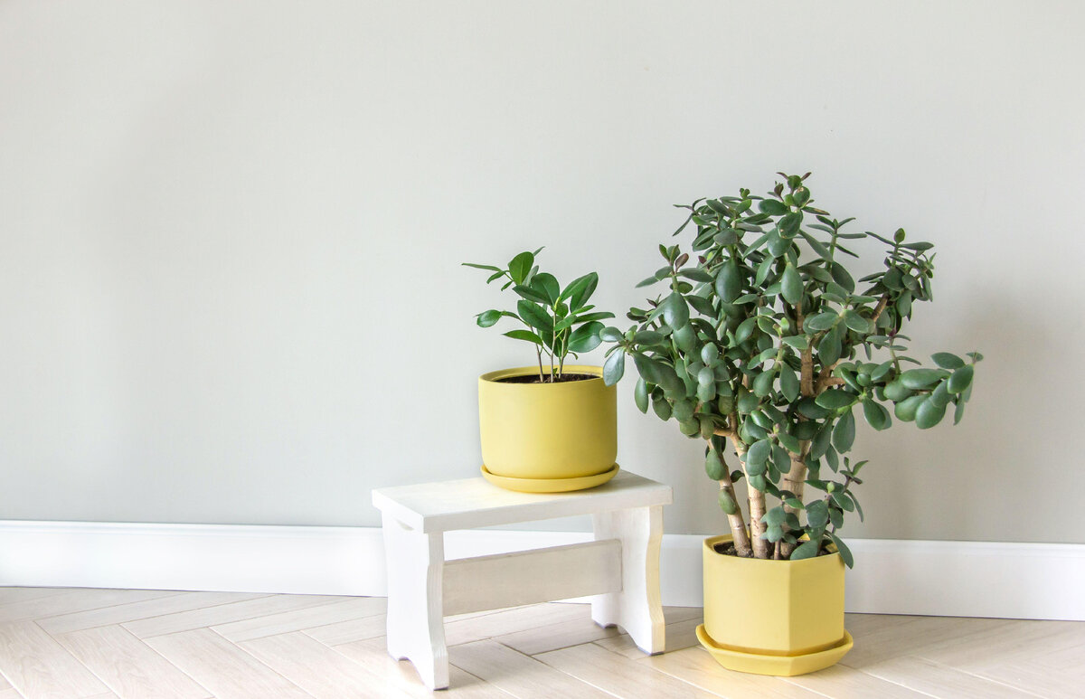 Фото: Legion Media