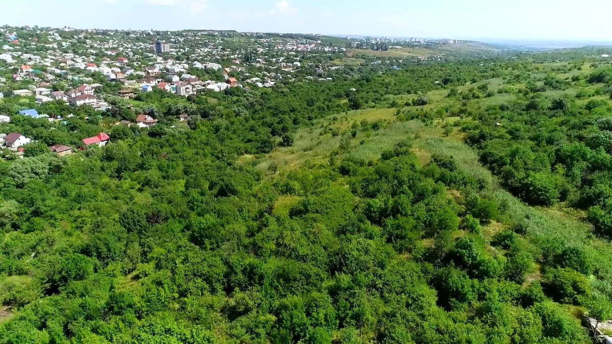 В самом зеленом районе. Ставрополь зеленый город