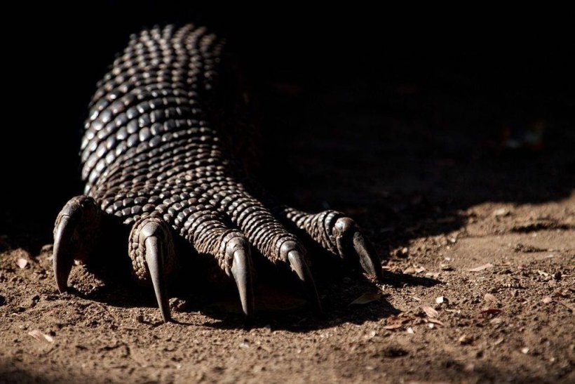 Фото взято из открытых источников