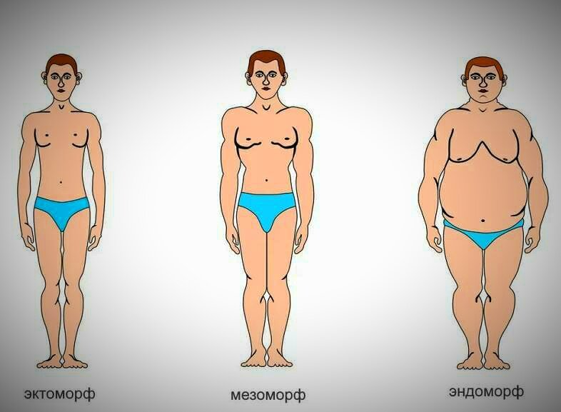 Сколько должны весить Мужчины и Женщины в 30, 40, 50 и 60 лет | СПОРТ  ПО-ВКУСНОМУ | Дзен