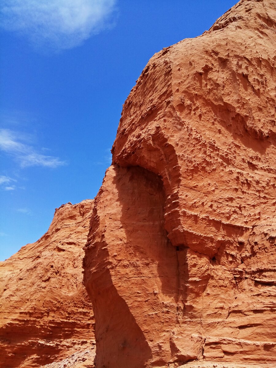В этих скалах из песчаника много костей и прочего захороненного мусора. И многое из этого вы можете видеть в палеонтологических коллекциях по всему миру