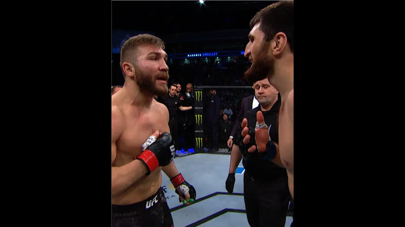 Ранняя остановка боя Битва с Халком: UFC готовит огненный реванш Анкалаева и Куцелабы