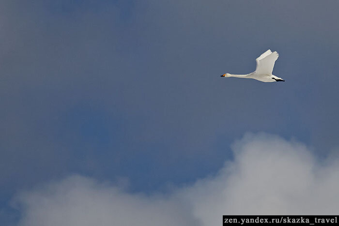 При работе надо смотреть на будущее