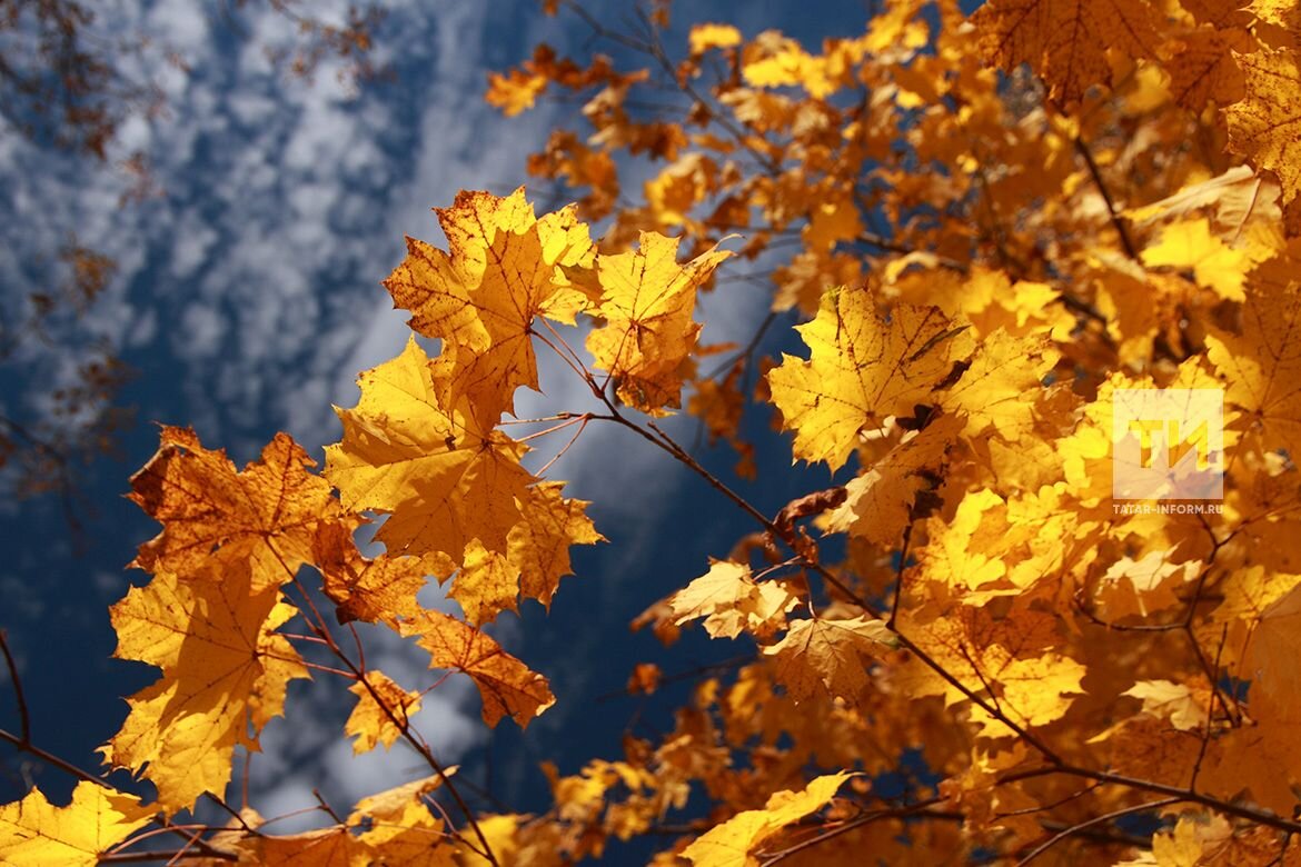 осень, сентябрь