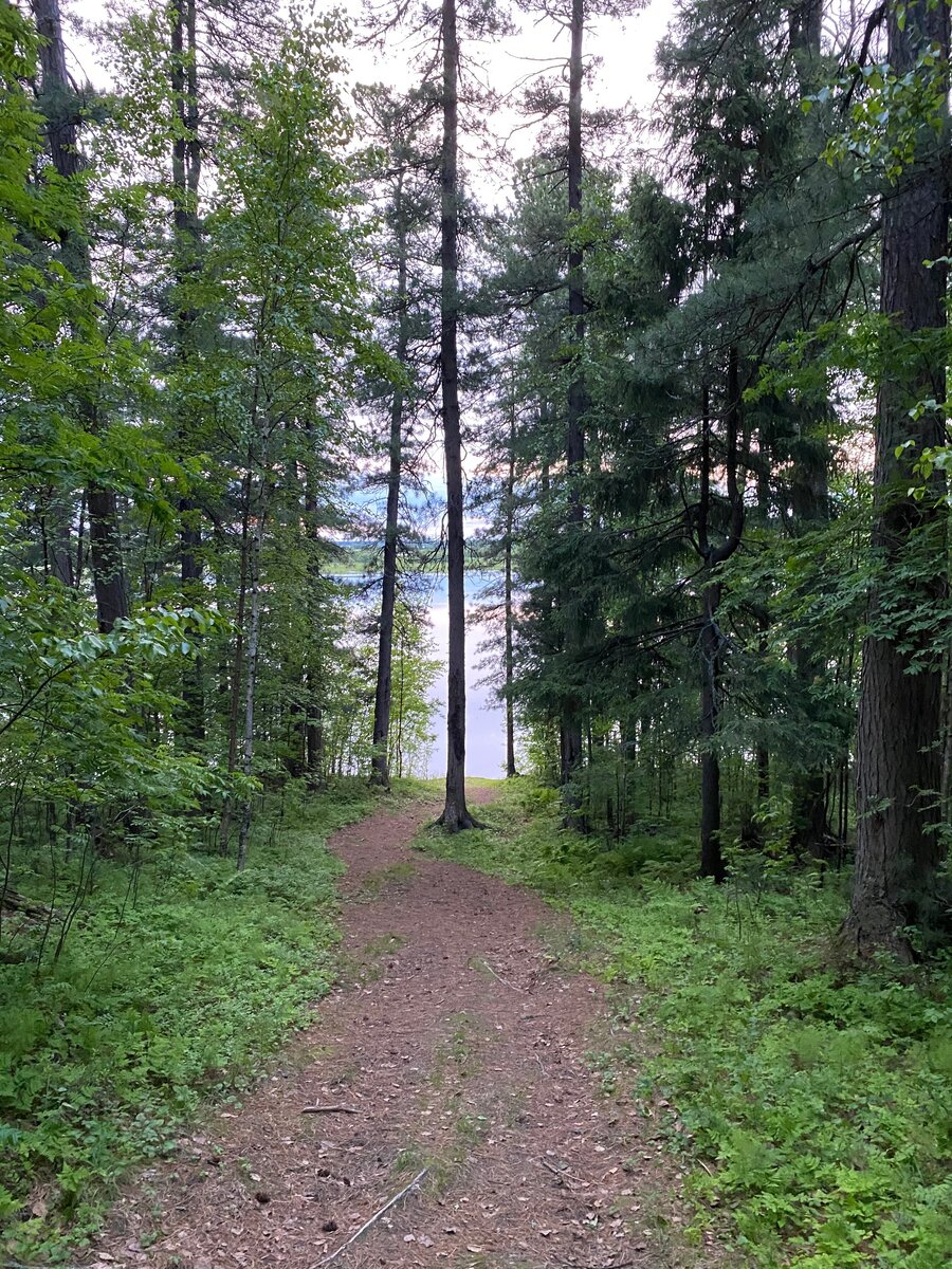 Как правильно отдыхать от города