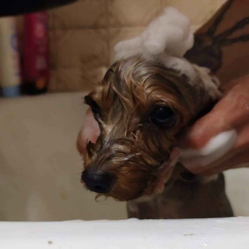 Пострадала только моя гордость...