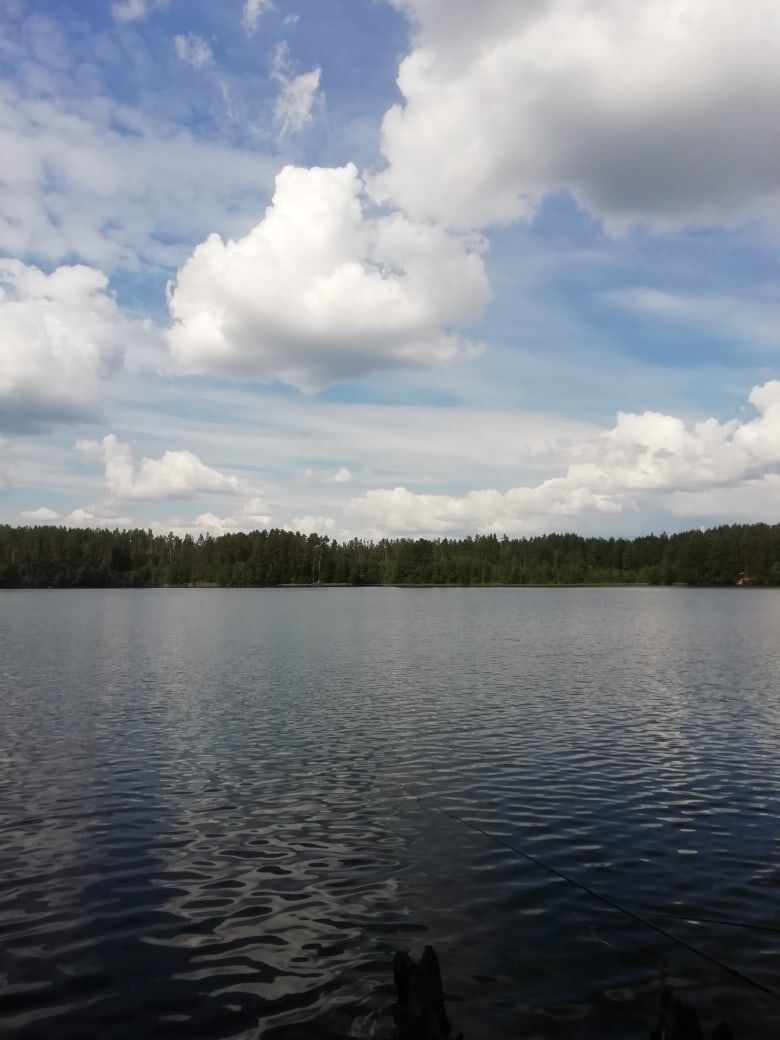 Озеро Уловное. Ленинградская область.