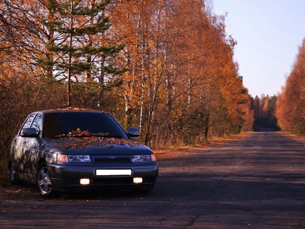 Фото из Яндекс. Картинки