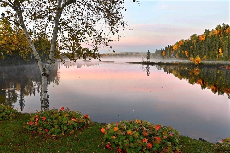 pixabay.com/