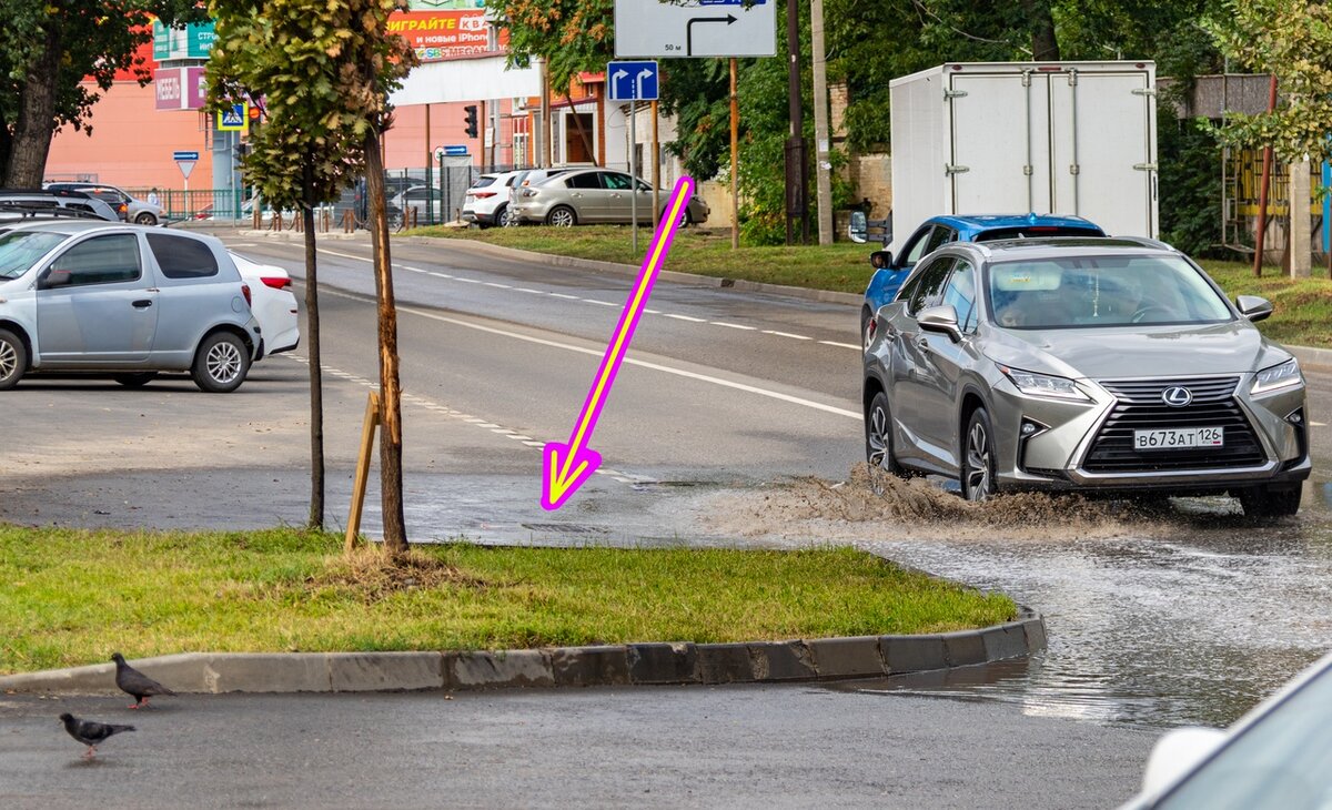 Своими глазами увидела отчего топит Краснодар даже в засуху. Показываю  фотографии | Южная жизнь | Дзен