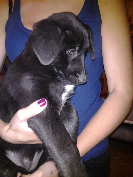 Вот такую малышку нашли на трамвайных путях. Фото из личного архива.