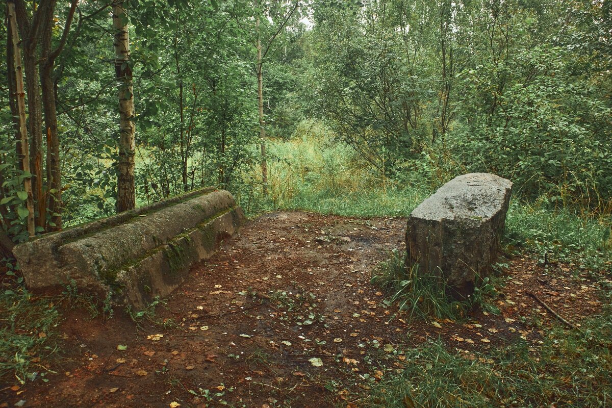 Руины Английский  дворец в Петергофе