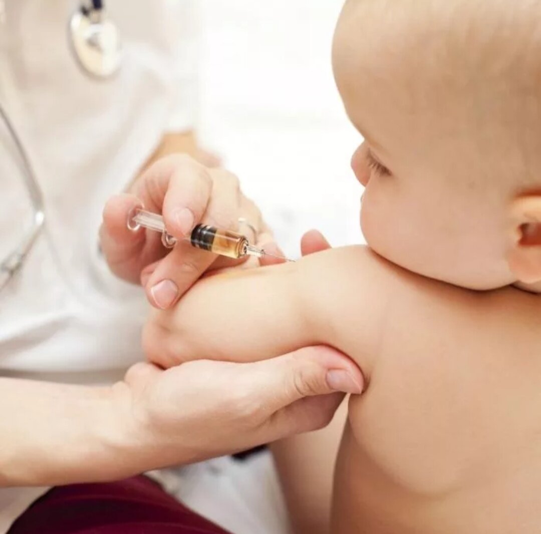 Фотография взята из открытых источников