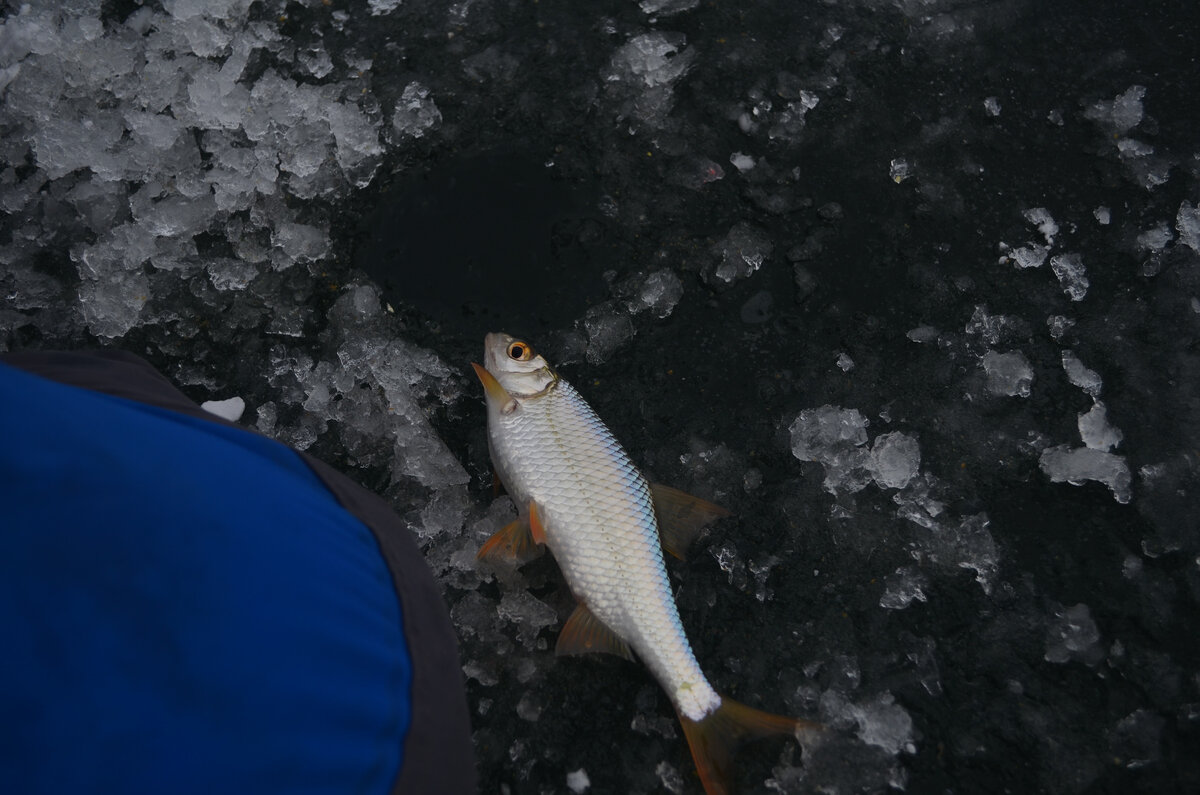 Теперь можно с большей вероятностью предсказать рельеф в зоне ловли.