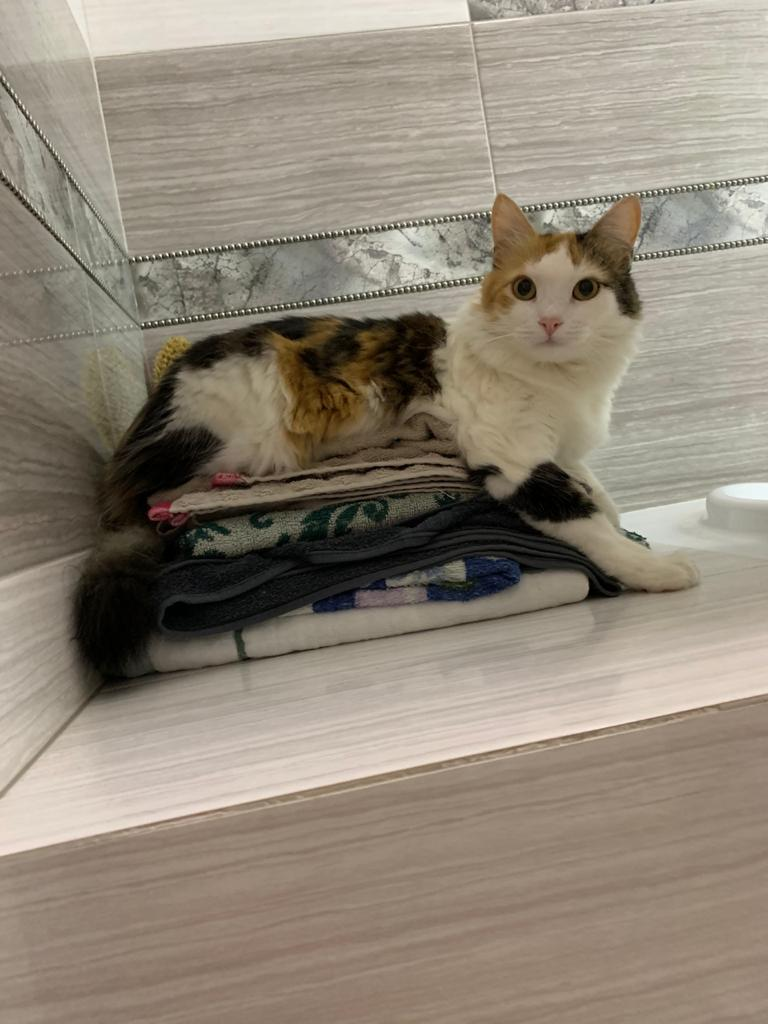 Я ведь надеюсь, что ты никому не скажешь??