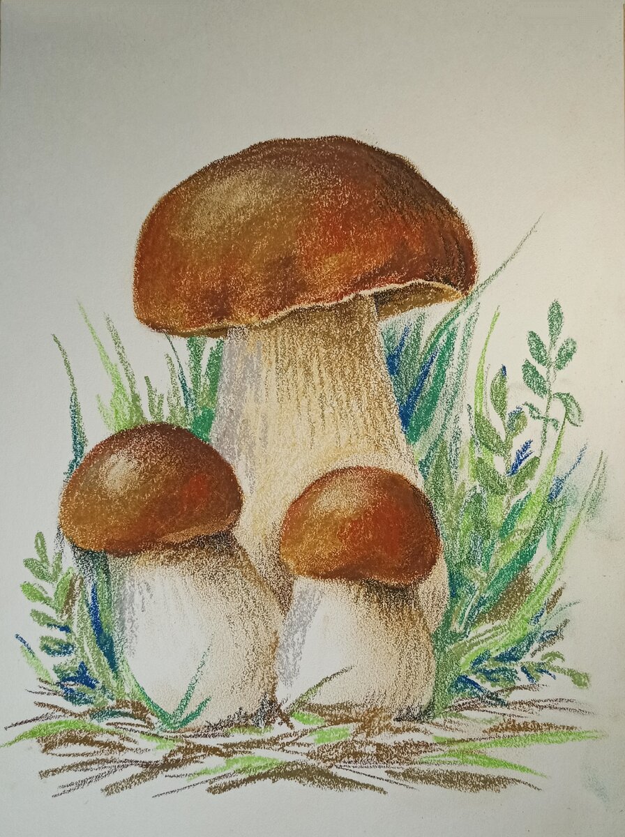 Рисунок гриба 5 класс. Грибок рисунок. Рисование грибы для дошкольников. Рисование белый гриб. Грибы в живописи.
