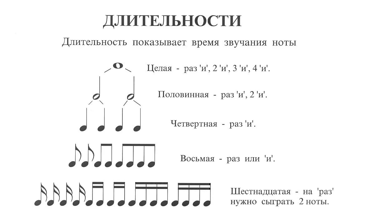 Ноты целая половинная четвертная восьмая картинки