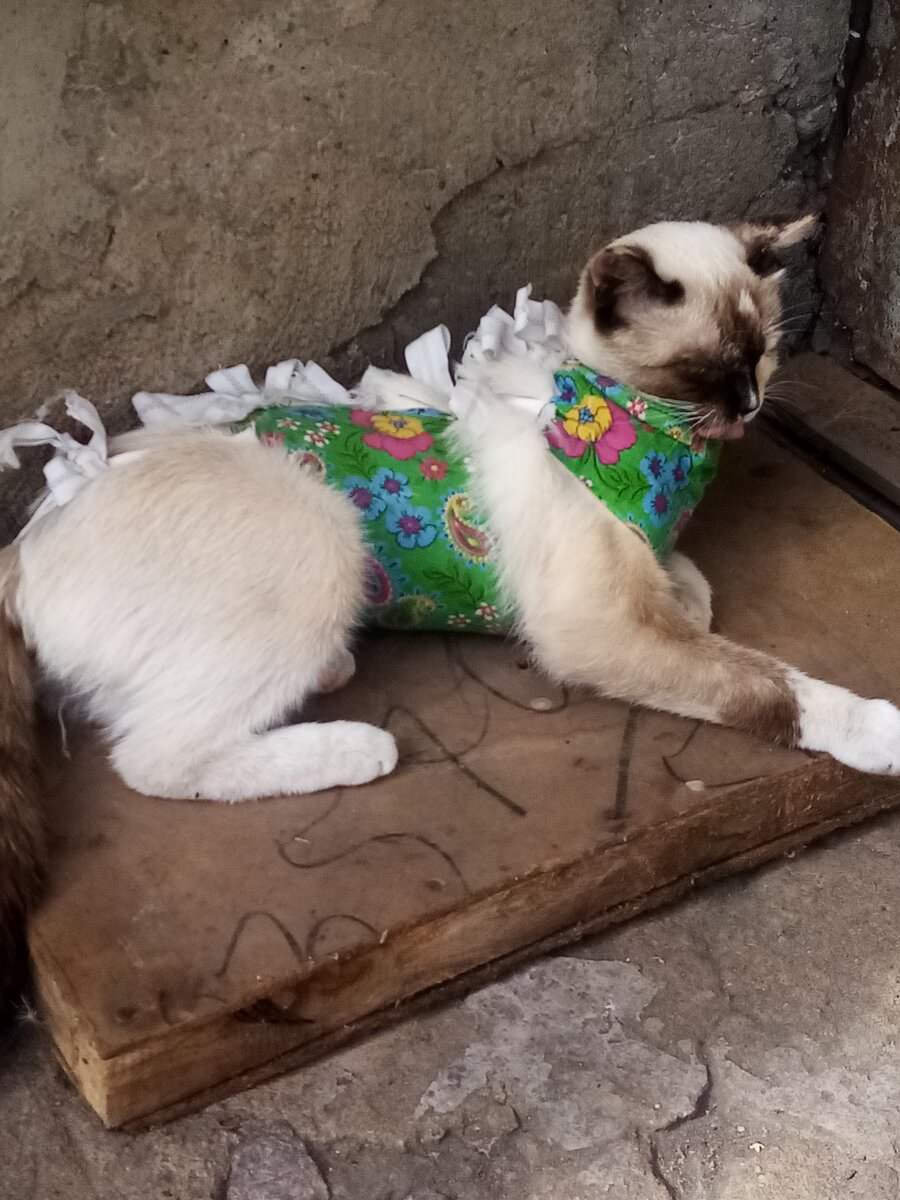 Авторское фото