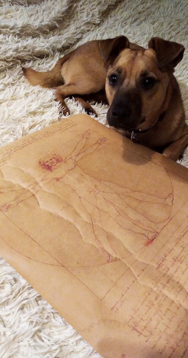 "А может, лучше мячик побросаем?"