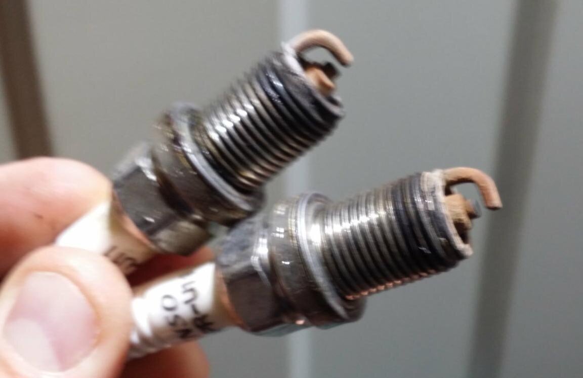 Сверху - косячная, снизу с соседнего горшка для проверки. На той что сверху виден белый налёт чуток.