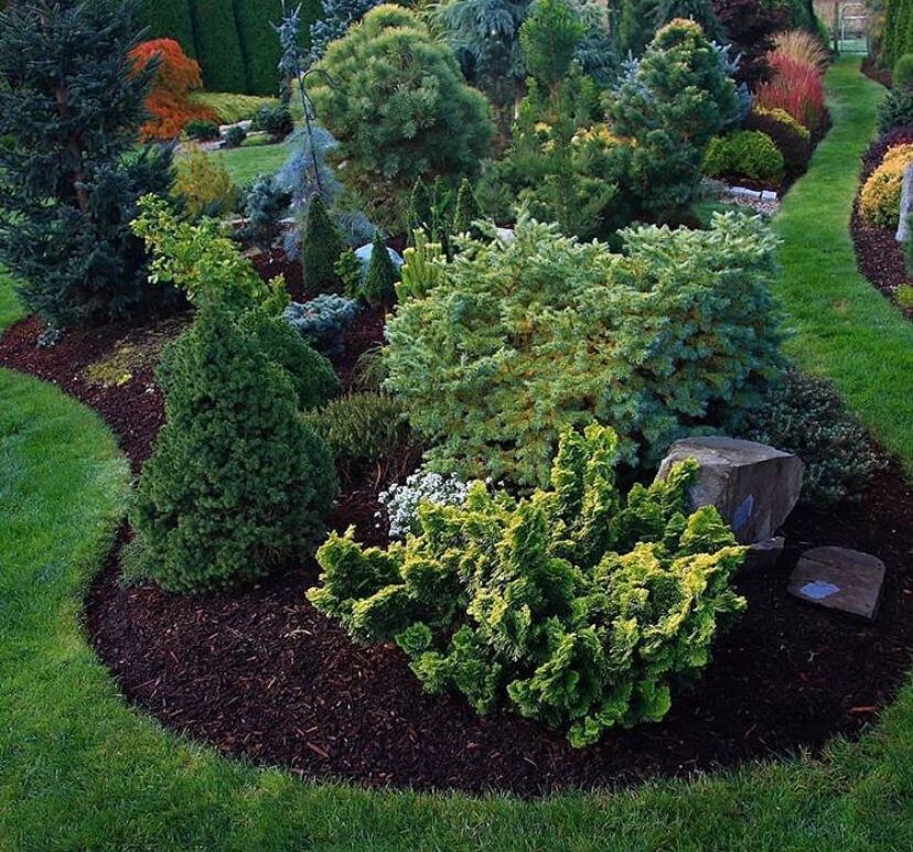 В данной статье мы расскажем, как правильно следить за почвой, чтобы она давала хороший урожай без потери витамином и полезных свойств.