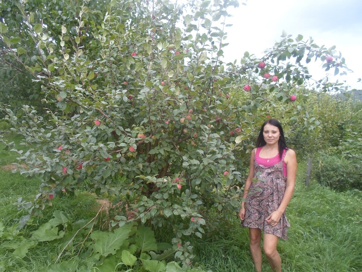 Осенняя Радость