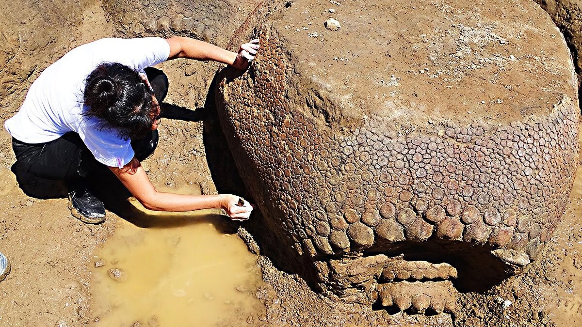 яндекс фото