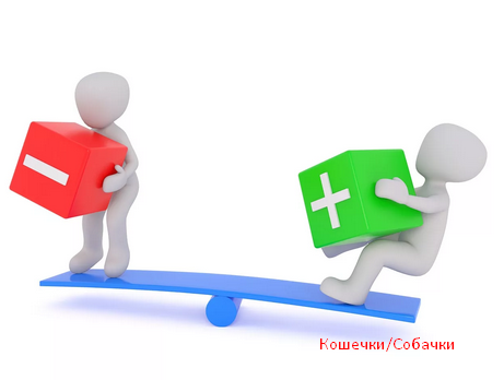 https://yandex.ru/images