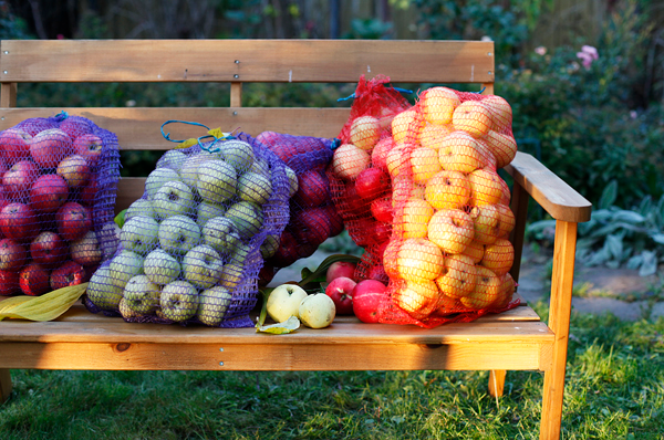 В этом году, впрочем, яблок вообще нет! Такое в первый раз...