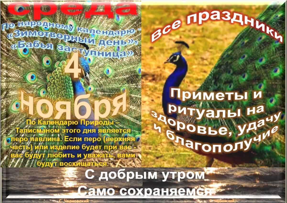 Увидеть перо на улице примета. Увидеть перо на улице примета