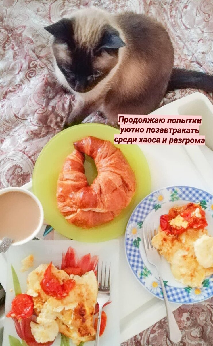 пытаюсь создать видимость привычной жизни