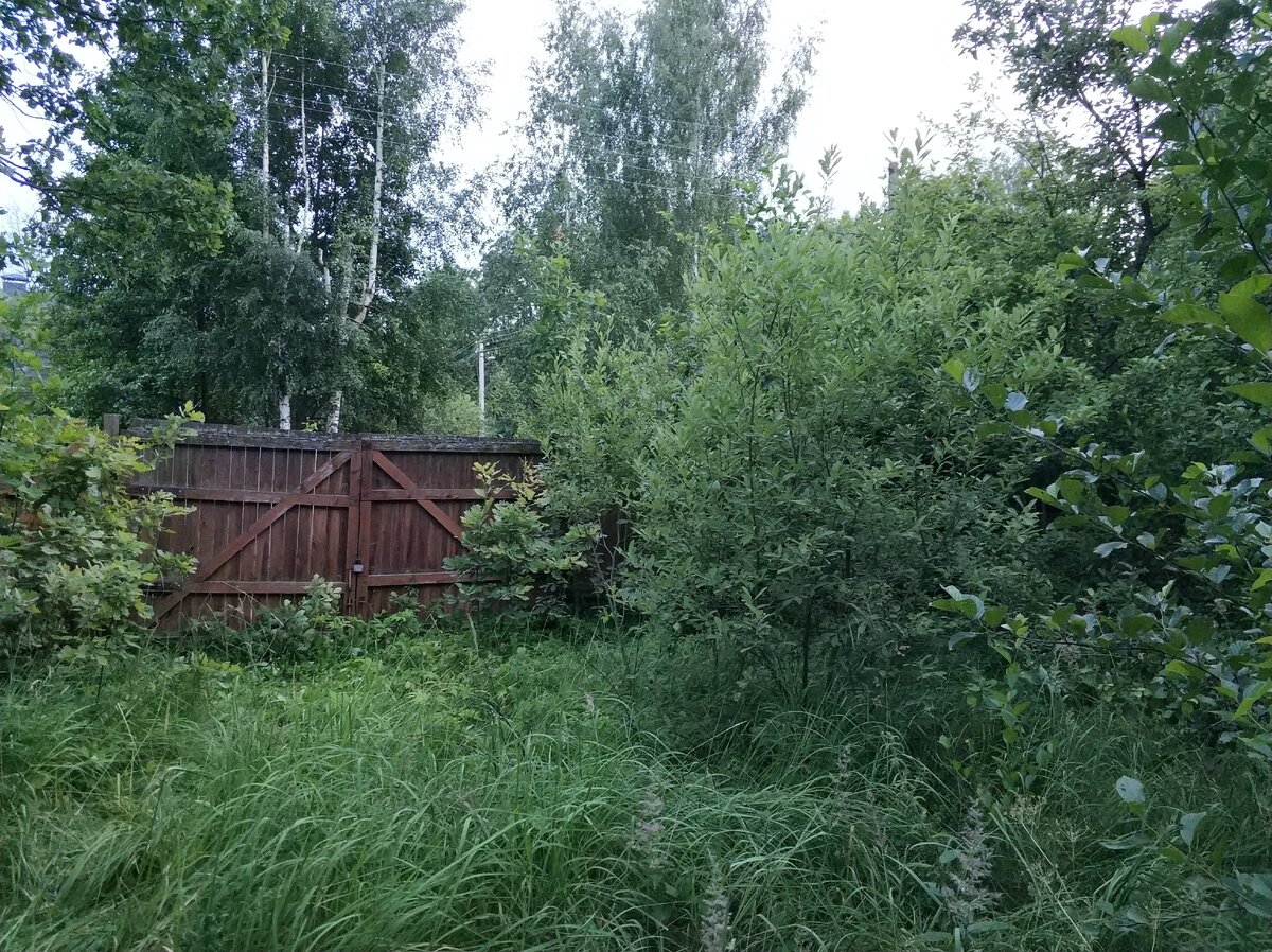 снт рассвет тульская область заокский район. здесь живет должник наклейка. мухино тверская область. снт роскомнадзор. сайт снт прогресс-терра.