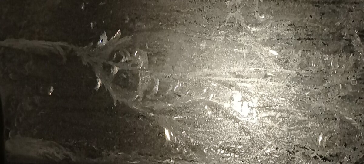 (Личное фото автора)