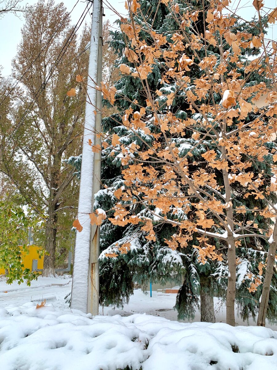 Фото автора.